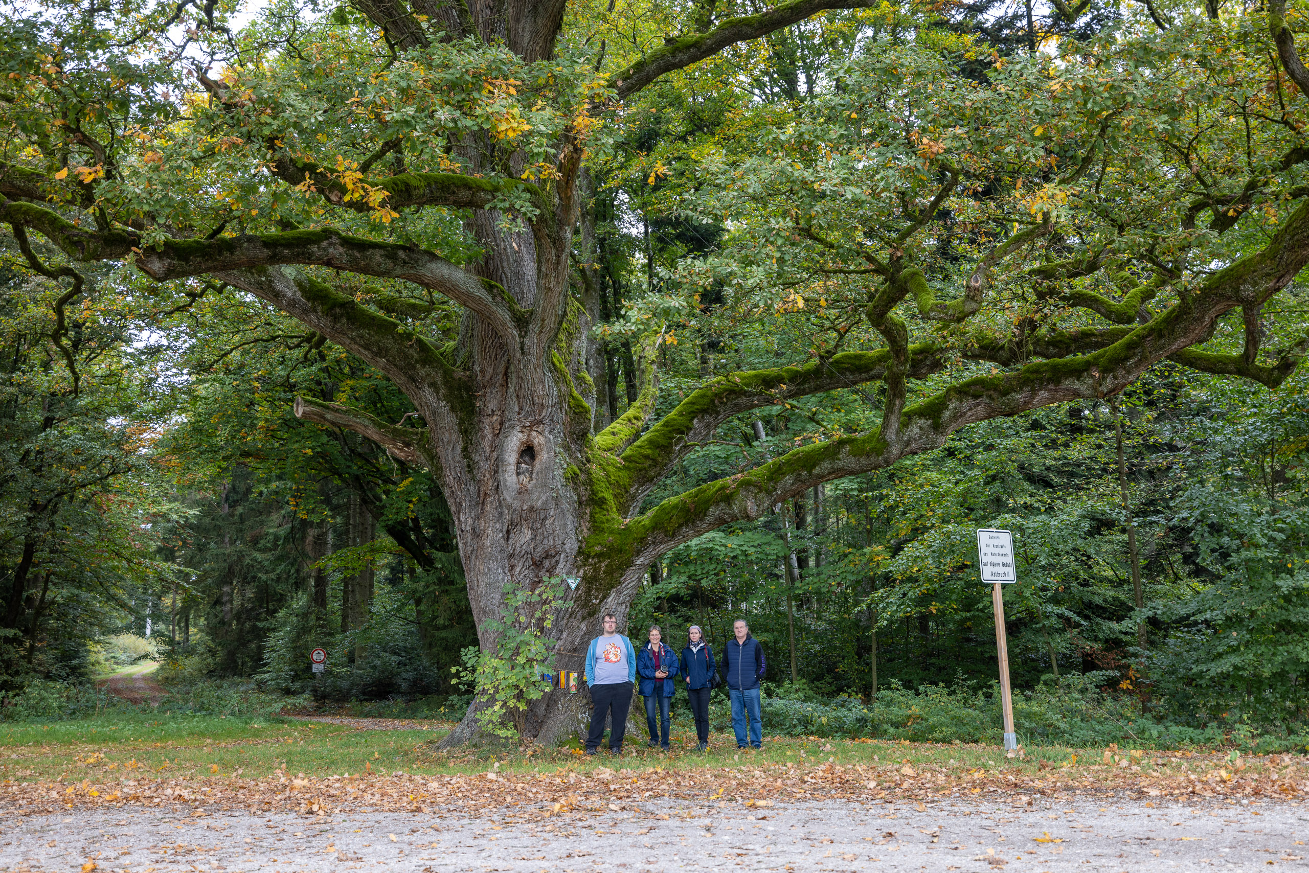 20231015105201 R5D 4360